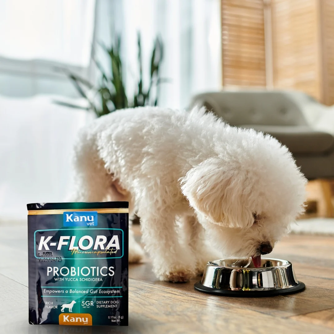 Suplemento Probiótico  K-Flora Kanu Pet para Perros - Image 3