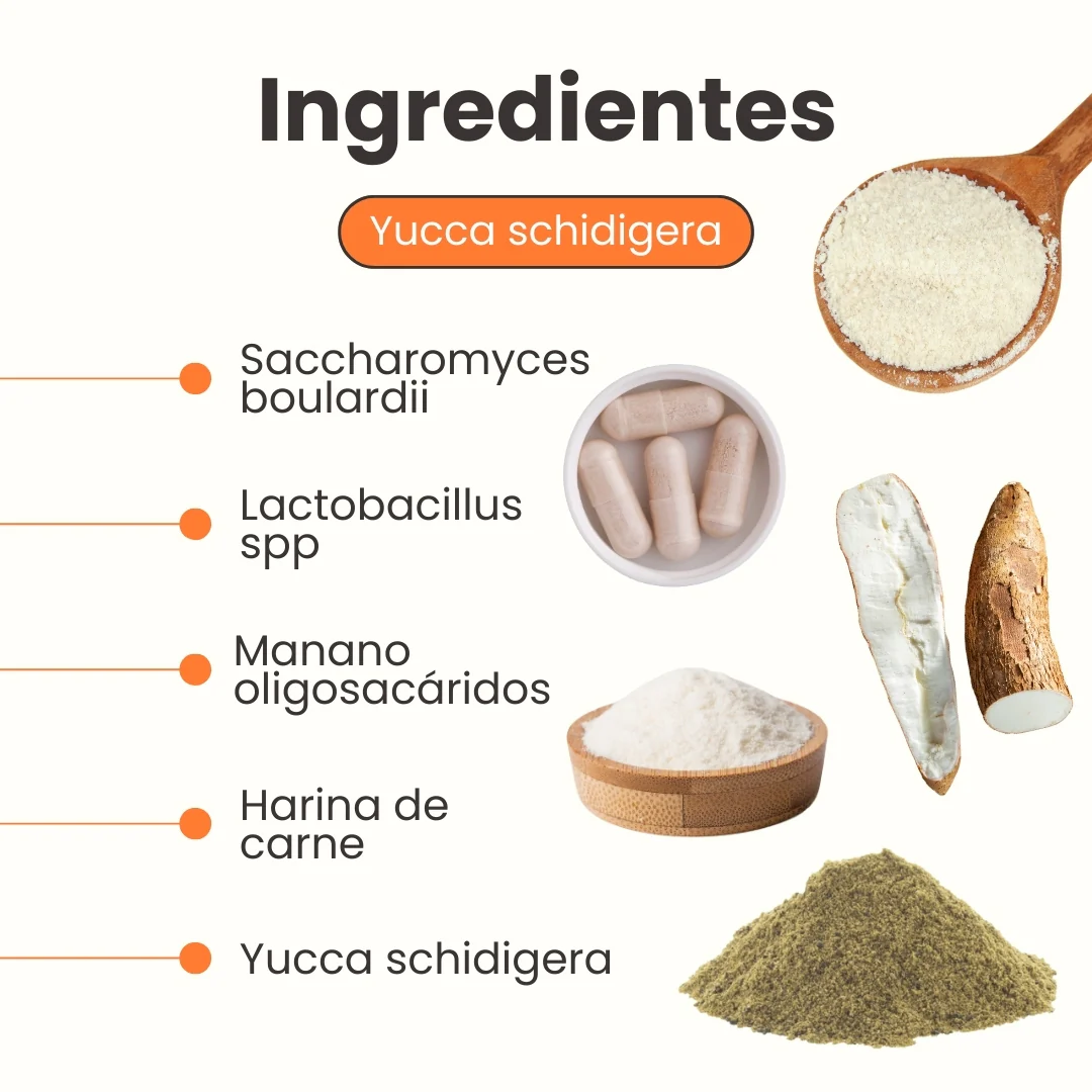 Suplemento Probiótico  K-Flora Kanu Pet para Perros - Image 7