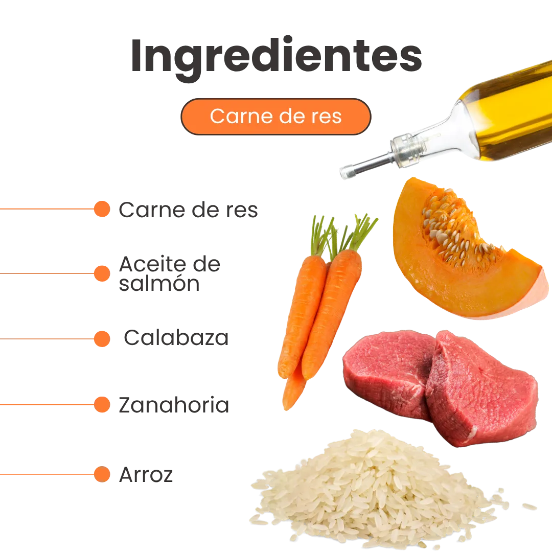 Alimento Húmedo Completo Chef's Recipe Carne de Res Kanu Pet para Perros - Image 3