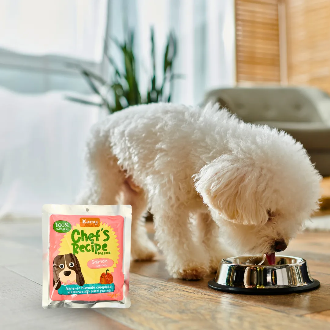 Alimento Húmedo Completo Chef's Recipe Salmón Kanu Pet para Perros - Image 5