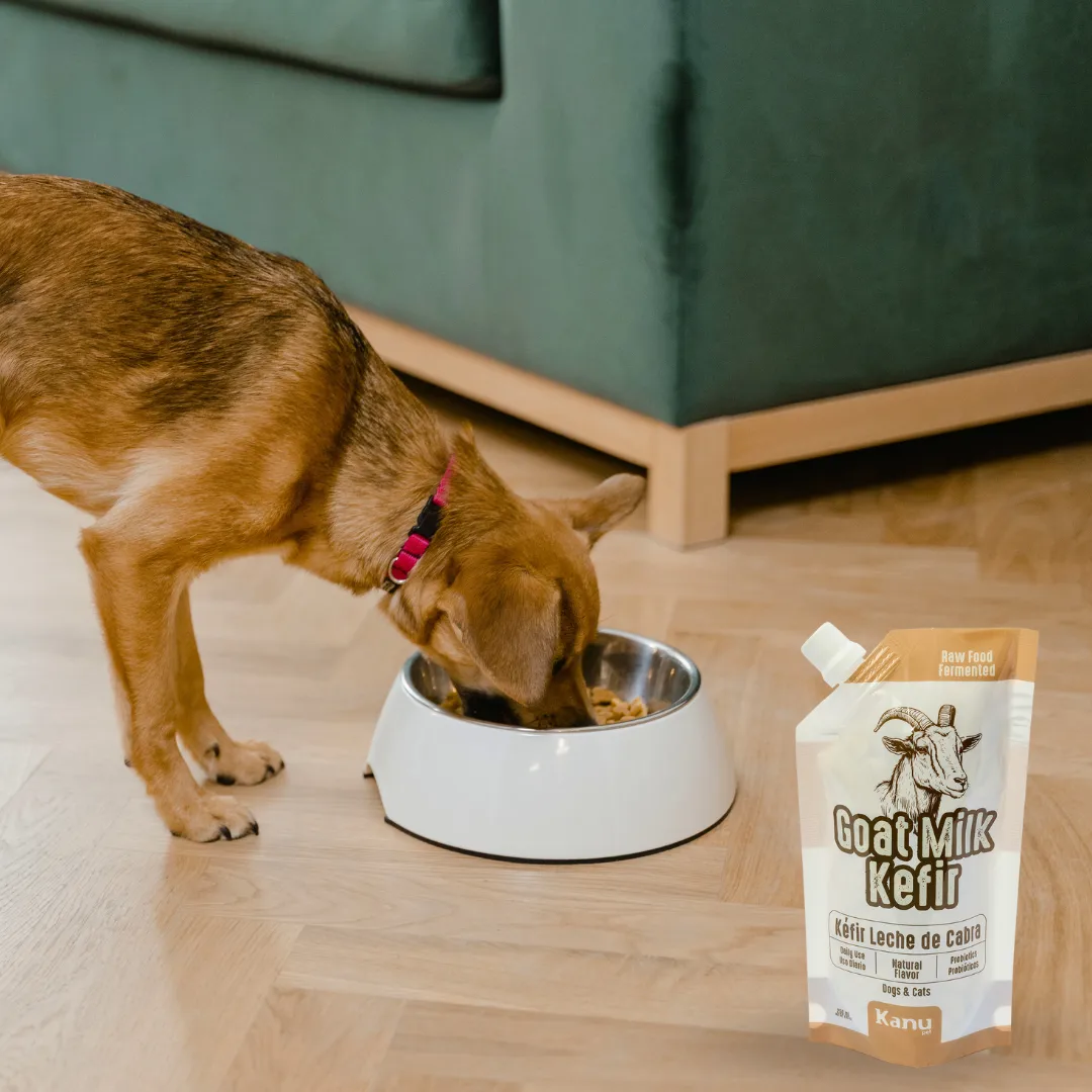 Kéfir Leche De Cabra Natural Kanu Pet Para Perro y Gato Bolsa - Image 4