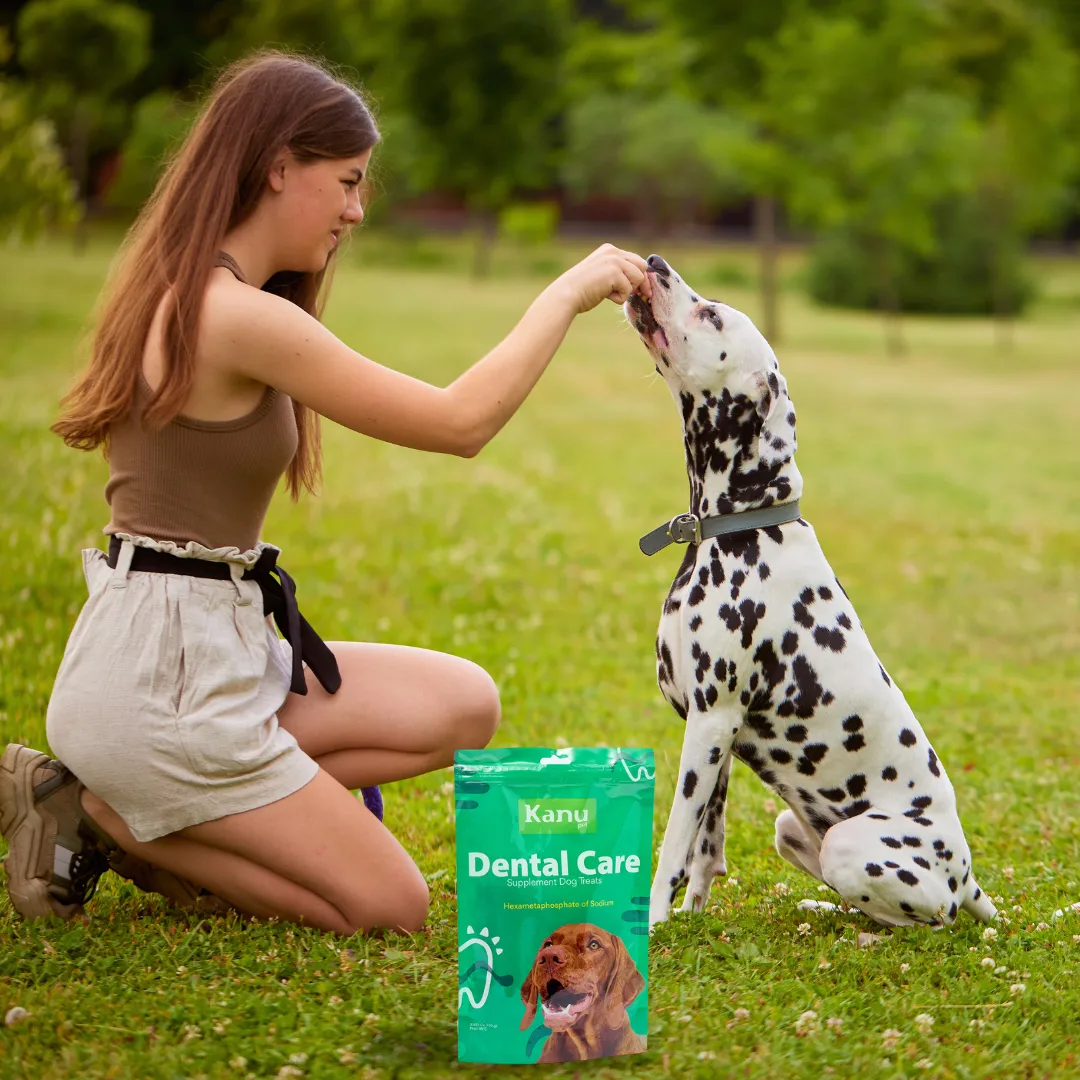 Nuggets Dental Care para la placa y el sarro Kanu Pet para Perro - Image 5