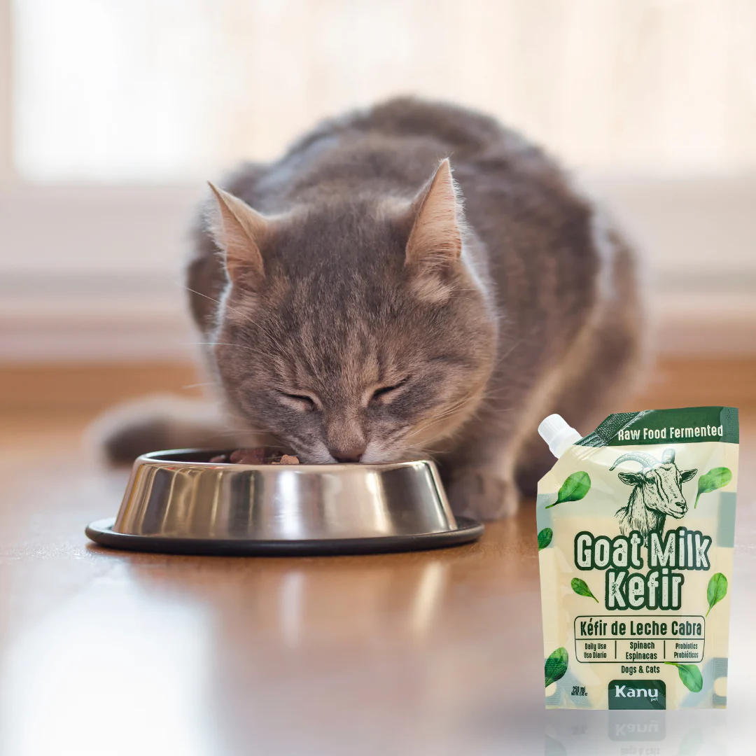 Kéfir Leche de cabra Espinaca Kanu Pet  para Perro y Gato Bolsa - Image 4
