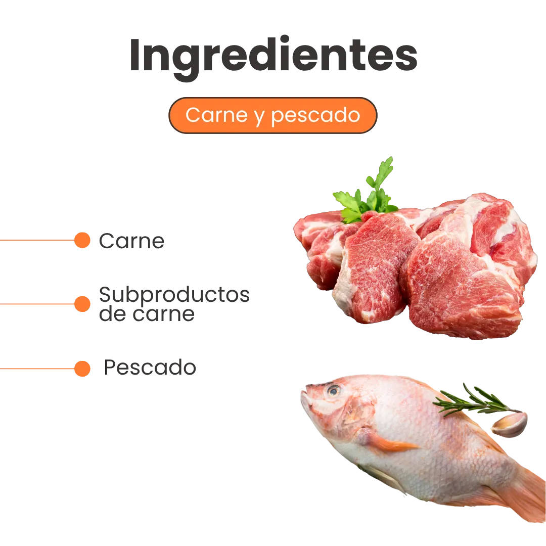 Alimento Húmedo Paté de pescado Kanu Pet  para Gato - Image 3
