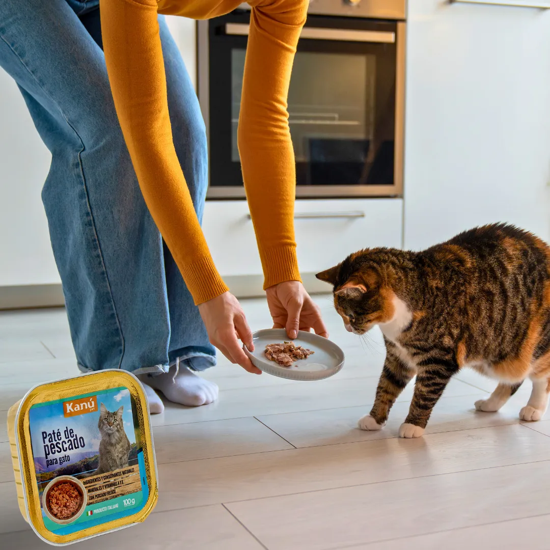 Alimento Húmedo Paté de pescado Kanu Pet  para Gato - Image 5