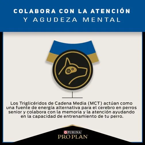 Alimento Seco Proplan 7 Small Breed para perro - Image 8