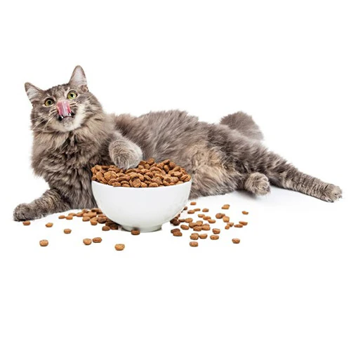 Alimento Seco Proplan para Gato Adulto - Image 4
