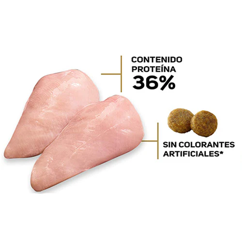 Alimento Seco Proplan para Gato Adulto - Image 5