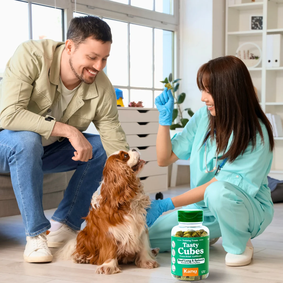 Snack Liofilizado Tasty Cubes Espinaca Kanu Pet para Perros  Bajas en Calorías - Image 5