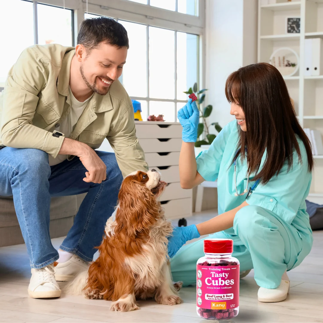 Snack Liofilizado Tasty Cubes Remolacha Kanu Pet para Perros Bajas en Calorías - Image 5
