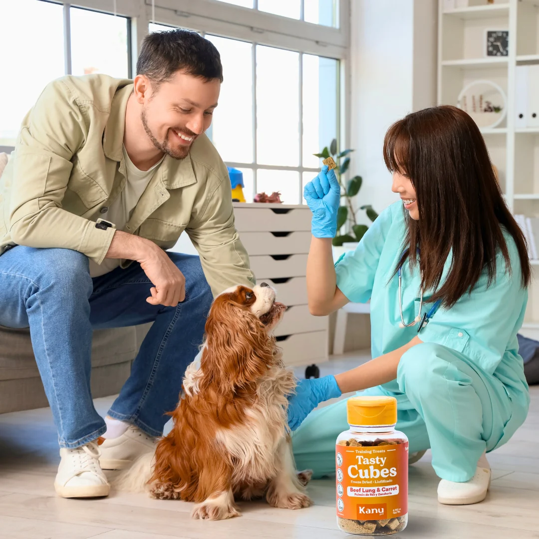 Snack Liofilizado Tasty Cubes Zanahoria Kanu Pet para Perros Bajo en Calorías - Image 5