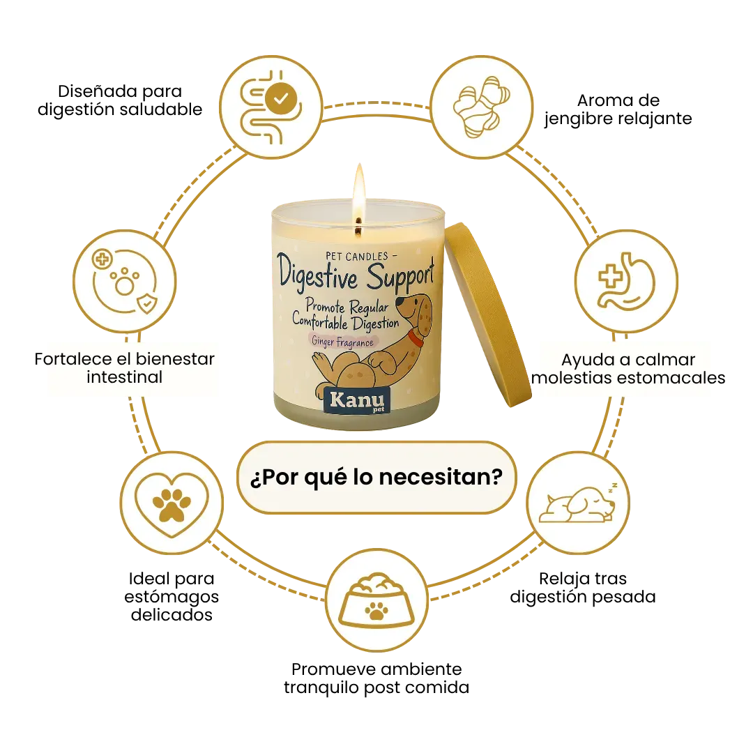 Vela Digestive Support Kanu Pet para Perros aroma Ginger - Image 3