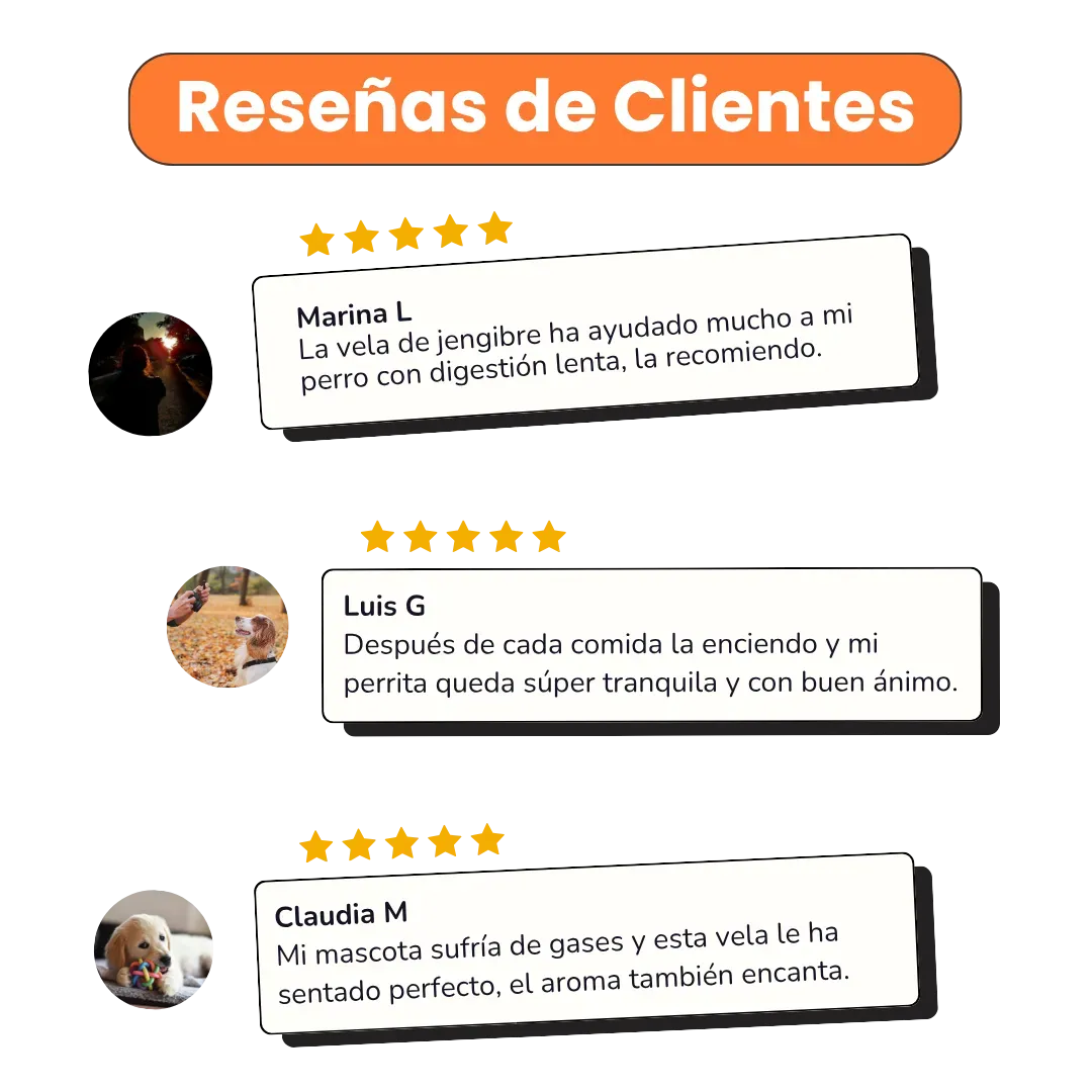 Vela Digestive Support Kanu Pet para Perros aroma Ginger - Image 4