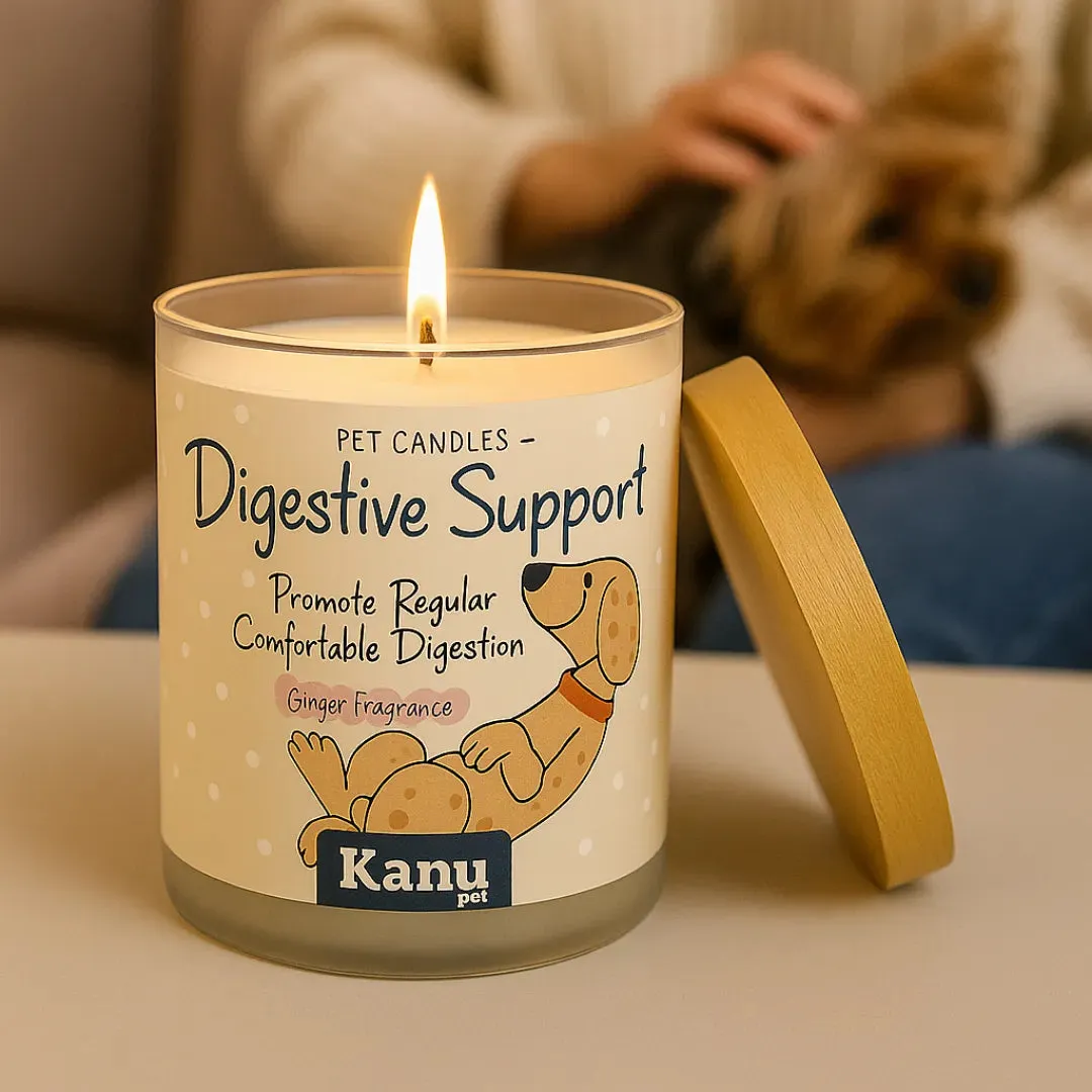 Vela Digestive Support Kanu Pet para Perros aroma Ginger - Image 5